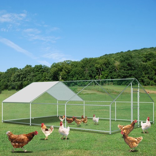 20ft 10ft chicken coop run - 10ft,