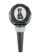 Pinscher Tedesco Spesso Tappo