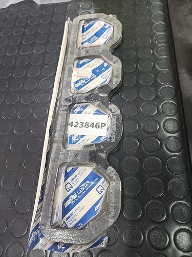Guarnizione copritestata fiat - guarnizione,