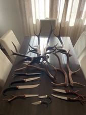 coltelli capriolo camoscio