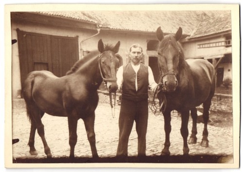 Fotografia nieder hilbersheim - fotografia, nieder-hilbersheim