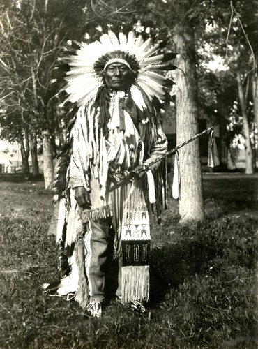 Toro seduto lakota sioux - lakota, capo