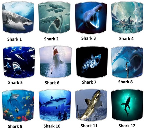 Ottimo bianco sharks soffitto - sharks,