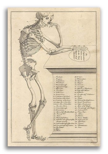 Poster stampa strano stile - stampa,