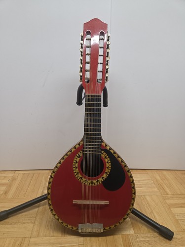 Bandurria spagnolo - bandurria,