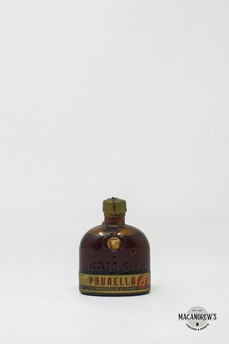 Miniature mignon prunella - miniature,