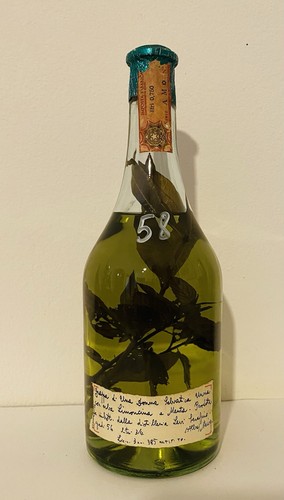 Romano levi grappa - levi, donna