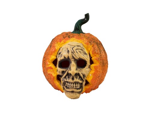 Pezzi europalms zucca - 2,
