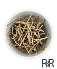 Silene Capensis Dream Roots