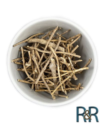 Silene capensis dream root - silene,