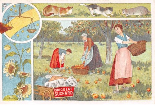 Chromos.AM13453.Suchard.10X6