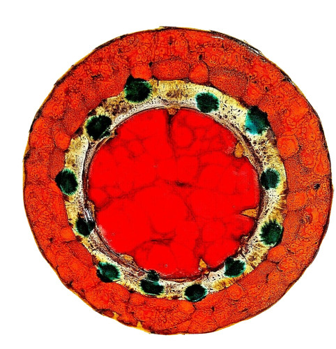 Piatto ciotola - , d=44
