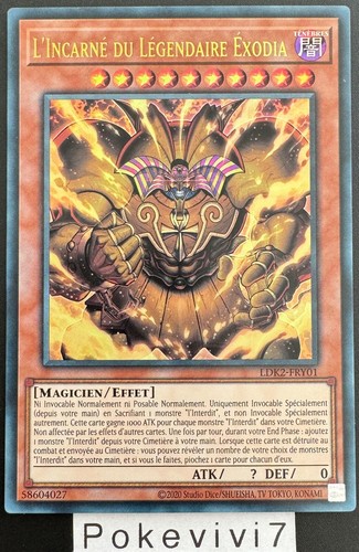 Carte l incarne du - yu-gi-oh!, l'incarne