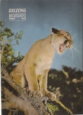 1949 MARCH ARIZONA HIGHWAYS