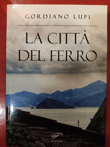 Libro citta del ferro di - citta',