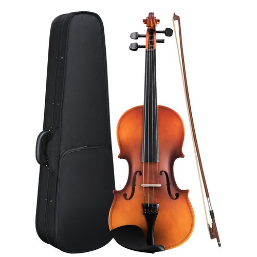 Acoustic violin with case - with,
