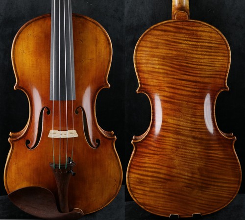 Splendido violino cannone