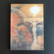 Daniele Galliano, La fin du