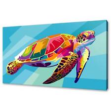 Tartaruga tela colorata stampa