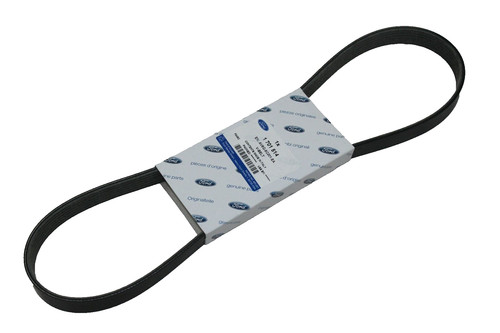 Cinghia trapezoidale originale