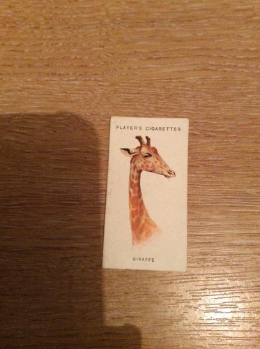 Cigarette card player - cigarette,