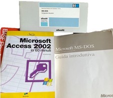 Microsoft Access 2002 in