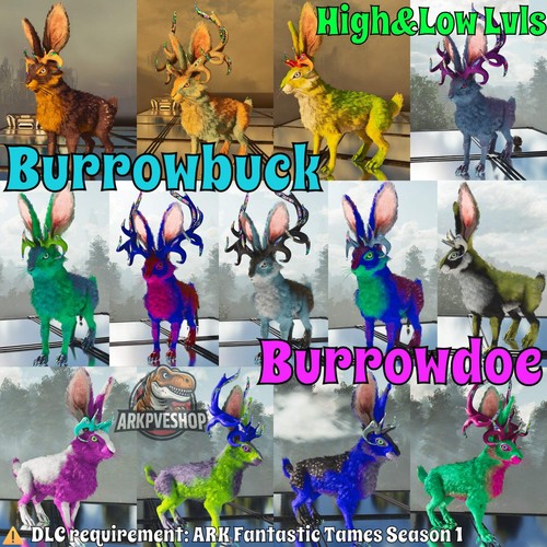 Burrowbuck burrowdoe rabbit - burrowbuck,