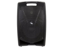 V10A PLUS "CASSA ATTIVA 10"