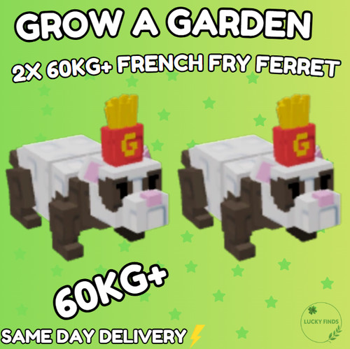 60kg furetto per - 60kg+,