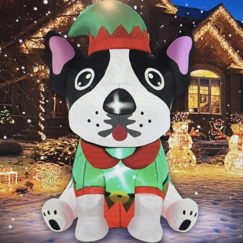 Elfo natale boston terrier - di,