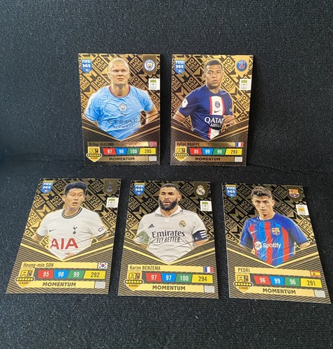 Set card panini - set, xl