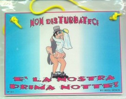 Cartello sposi non disturbare - cartello,