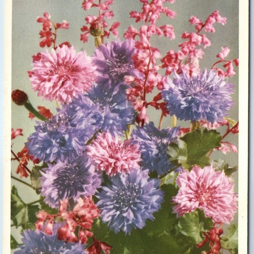 C1930s san valentino 25 - c1930s,