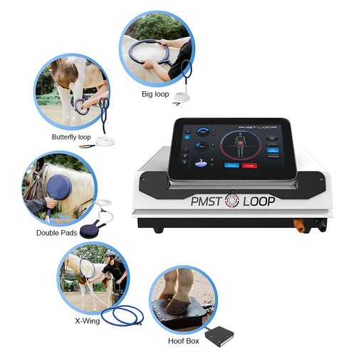 Sistema magnetoterapia pmst - magnetoterapia,