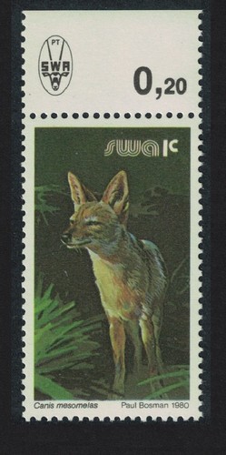 Carta gesso animale selvatico