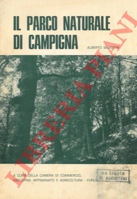 Silvestri alberto il parco - silvestri,