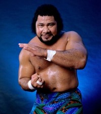 WRESTLING SUPERSTARS - HAKU 