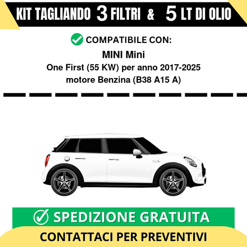 Tagliando per mini one - per,