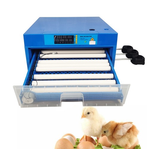 Incubatrice automatica uova - 64,