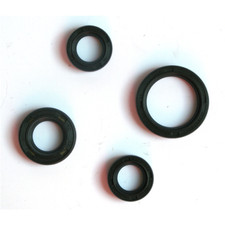 Serie paraolio motore per MOTO