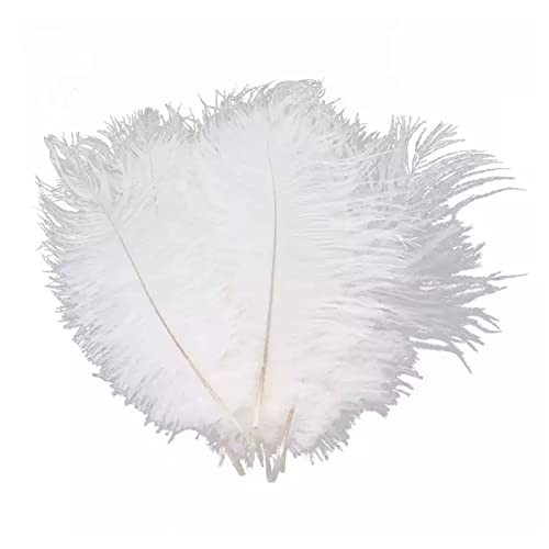 Pezzi piume struzzo - 30,
