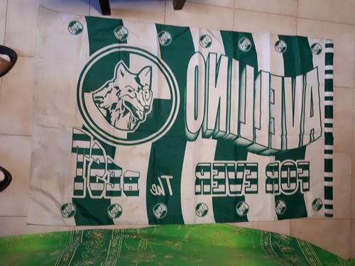 Bandiera grande forza - bandiera,