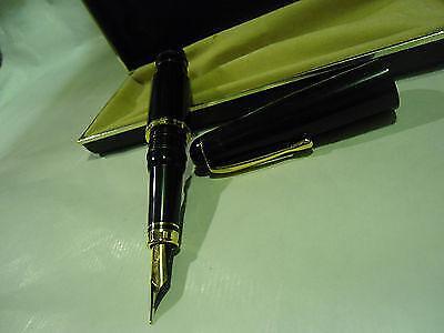 Penna stilografica harrison - stilografica,