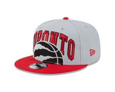 Berretto Toronto Raptors