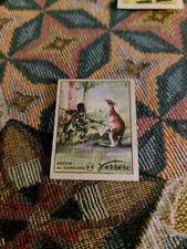 Ferrero Figurina Anni 50/60