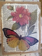  QUADRO CLAYRE & EEF   COUNTRY