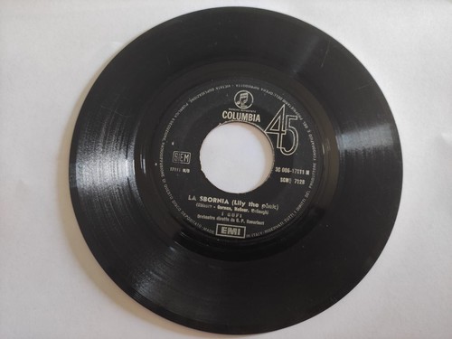 Vinile giri gufi - vinile,