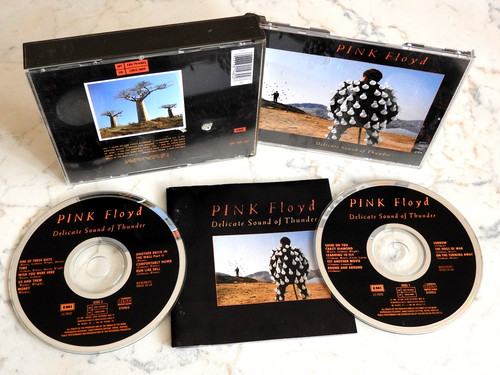Pink floyd delicate - pink,