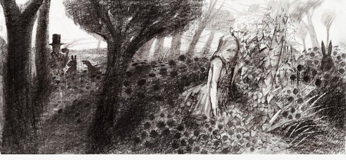 Meraviglie nel paese alice - meraviglie,