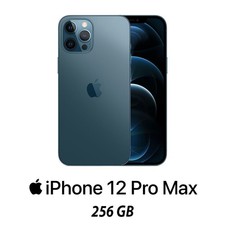 IPHONE 12 PRO MAX 256GB